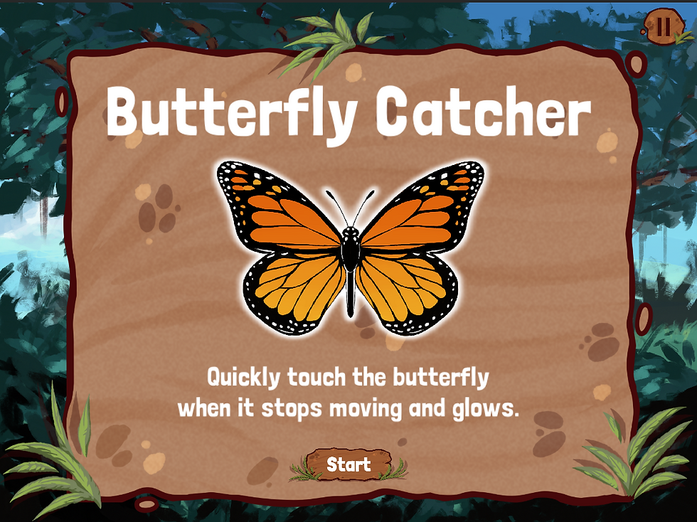 Butterfly Catcher