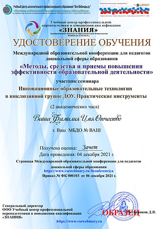 Инновационные образовательные технологии в инклюзивной группе ДОУ. .jpg