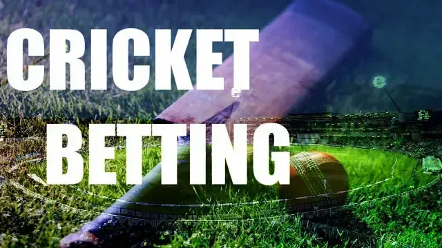 cricket betting