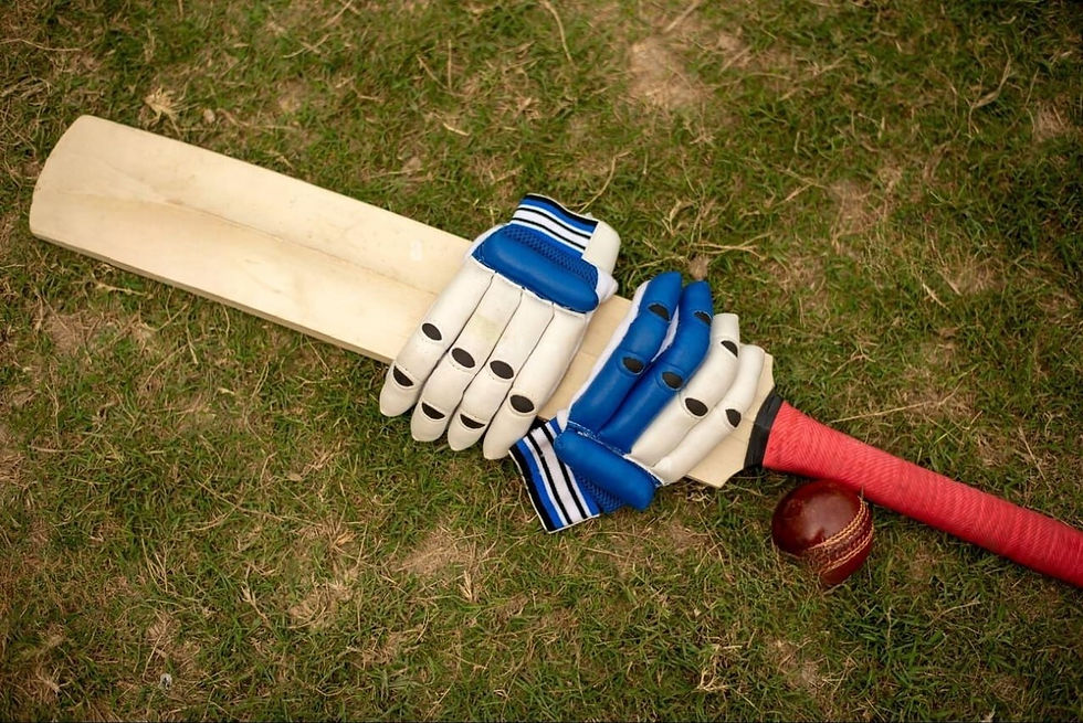 top cricket betting sites for fans