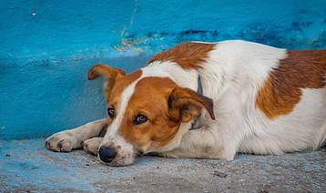 pexels-sofus-34133013.jpg