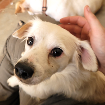 WhatsApp Image 2025-11-19 at 14.06_edited.png