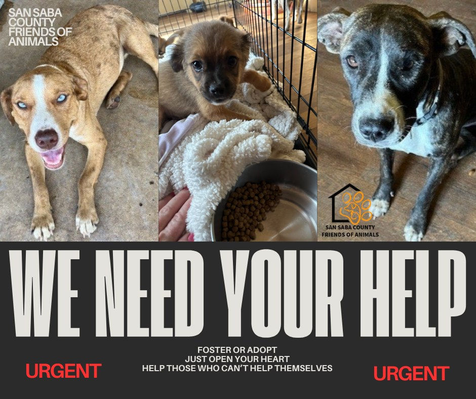 Photo courtesy of San Saba County Friends of Animals