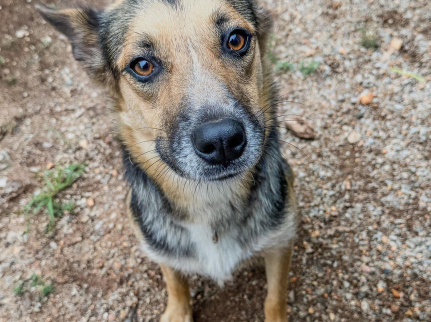 Annie