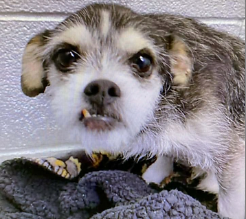 Screenshot 2026-01-12 at 12.33.10 PM.png