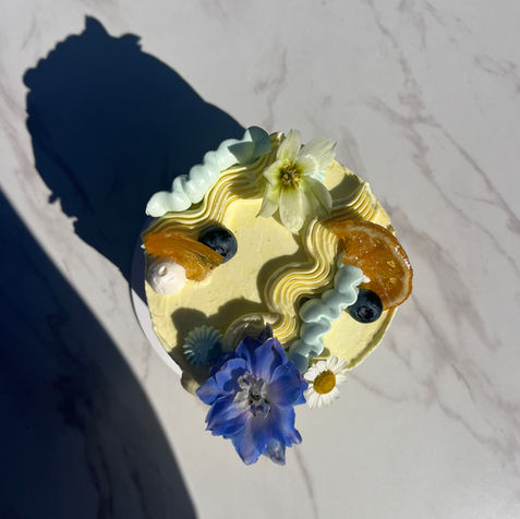 Custom abstract cake Montreal