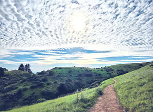 20260405_172444-EDIT_edited.jpg