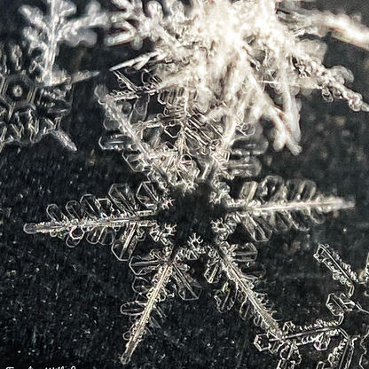 Look Closely - Mindfulness in Photography