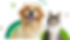 狗貓