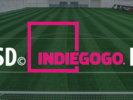 What the Heck is INDIEGOGO and Why Are We Doing This?