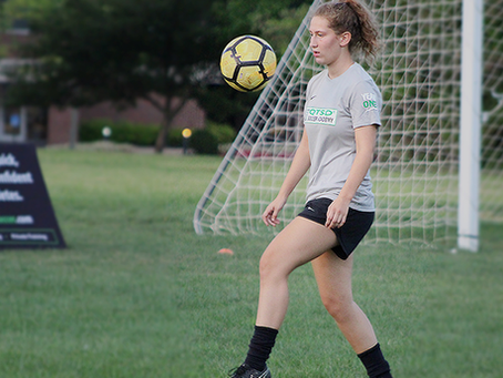 Bridging the "Gap" - The QTSD© Academy