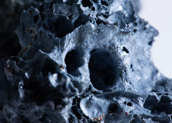 Macro rocksQC4A0321.jpg