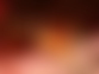 2/23(祝月)ダイブログ