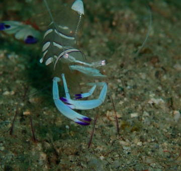 7/27 今日も夏日