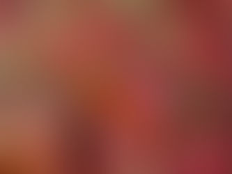 1/7(水)ダイブログ