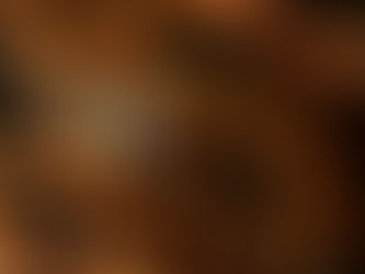 2/5 　あたたかい