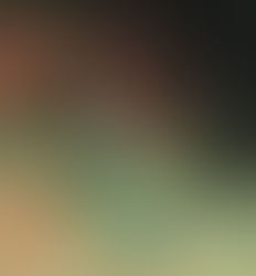 2/28(土)ダイブログ