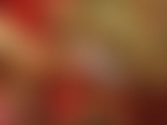 2/20(金)ダイブログ