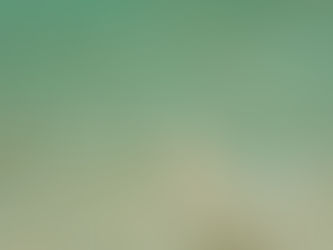 11/22(土)ダイブログ