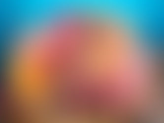 12/21(日)ダイブログ