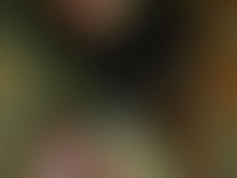 10/3 季節来遊魚