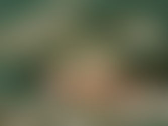 9/8(月)ダイブログ