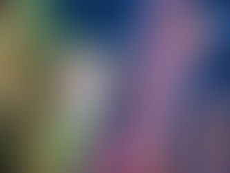 1/6(月)ダイブログ