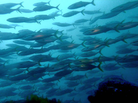5月12日(月)海ログ