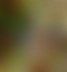 3/17（火）ダイブログ