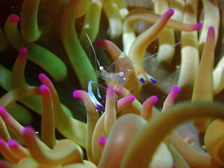 3/17(火)ダイブログ