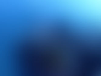 12/11(木)ダイブログ