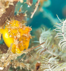 2/11(ç¥æ°Ž)ãã€ããã°