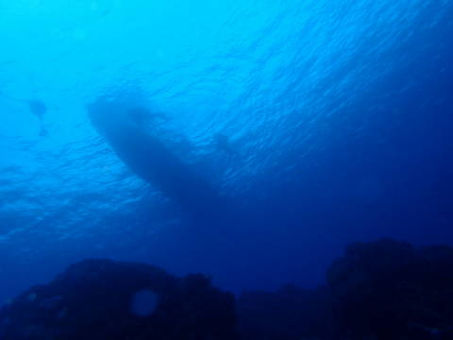 1/22 方座ブルー