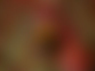 2/19 ピカチュー