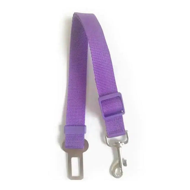 Thumbnail: Adjustable guide for car rides With Dogs