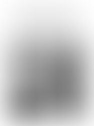 Creación en movimiento. Una exposición multidisciplinar