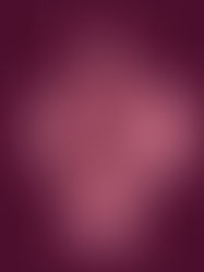 La vivienda en México: La vivienda del ser