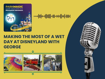 Embracing the Rain: How to Make the Most of a Wet Day at Disneyland with George