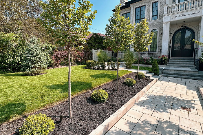 Formal garden with boxwood & yew, elegant front walkway