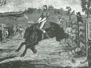 The Buckjumper Collared - England v Australia - 1880