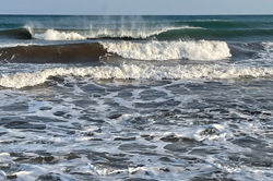 Forma dell'acqua Barison Mara 01