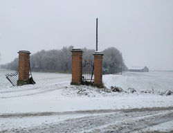 Tema libero Rossi Valeria - Sotto la neve, pane...