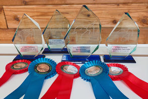 nagrody championów Alpaka Fleece Show