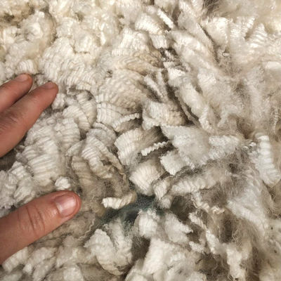 hodowla alpak - runo alpaki