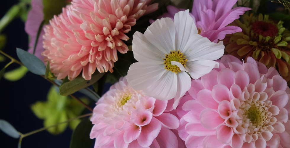 pink dahlias and white cosmos