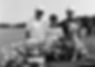 Mertens-85-2-500-351BW.jpg