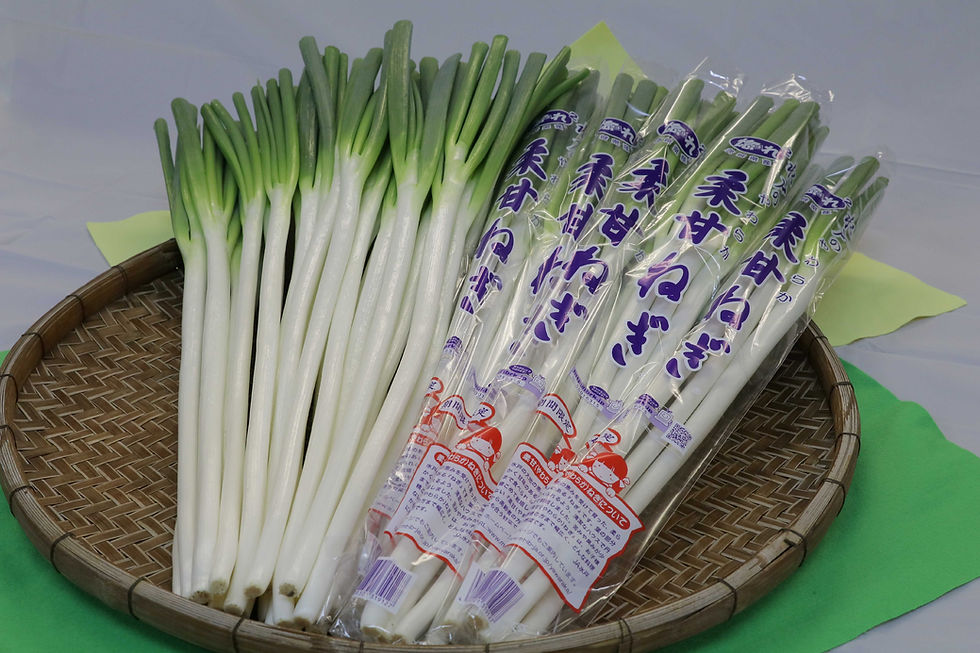 06柔甘ねぎ写真-cleaned.jpeg