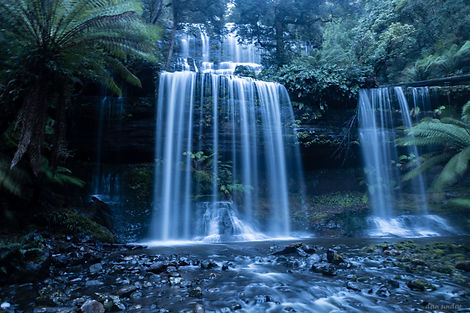 Tasmania Russel Falls.jpg