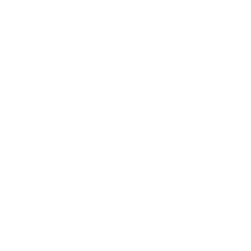 Expert Logo 