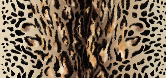 Captura de pantalla 2024-11-19 a la(s) 9.20.25 p. m..png